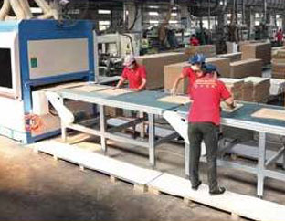 Irregular sanding machine