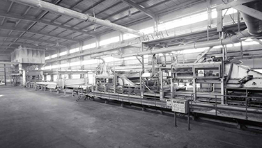 particle board production line